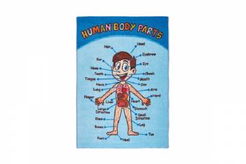 BD-0202 ANATOMY HALI (6 mm 133*190)