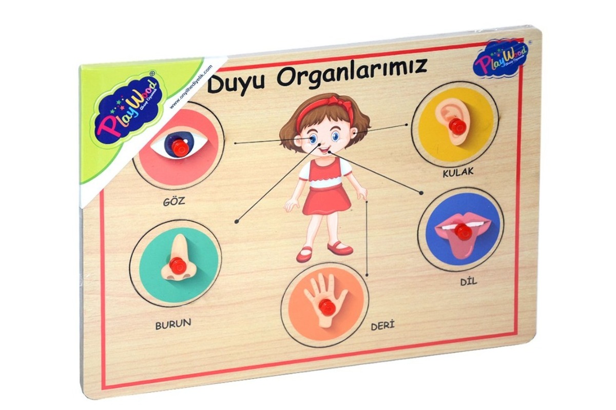 BD-166/167 AHŞAP TUTMALI ORGANLAR BD-166